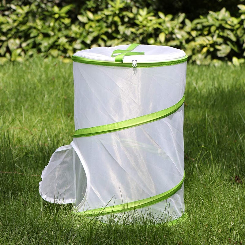 RESTCLOUD 20" Large Butterfly Habitat, Giant Collapsible Insect Mesh Cage Terrarium Pop-up 12" x 20" Tall - Image 3